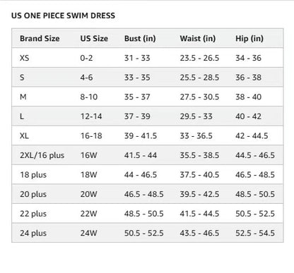 Women's Tummy Control Slim Fit Plus Size One Piece Swimsuit With Skirt